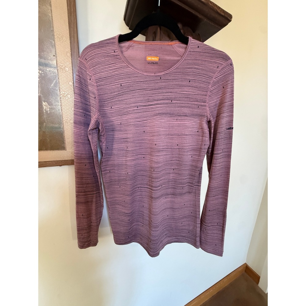 • Icebreaker 200 Oasis Merino Long Sleeve Base Layer Top NWOT M Gorpcore Ski